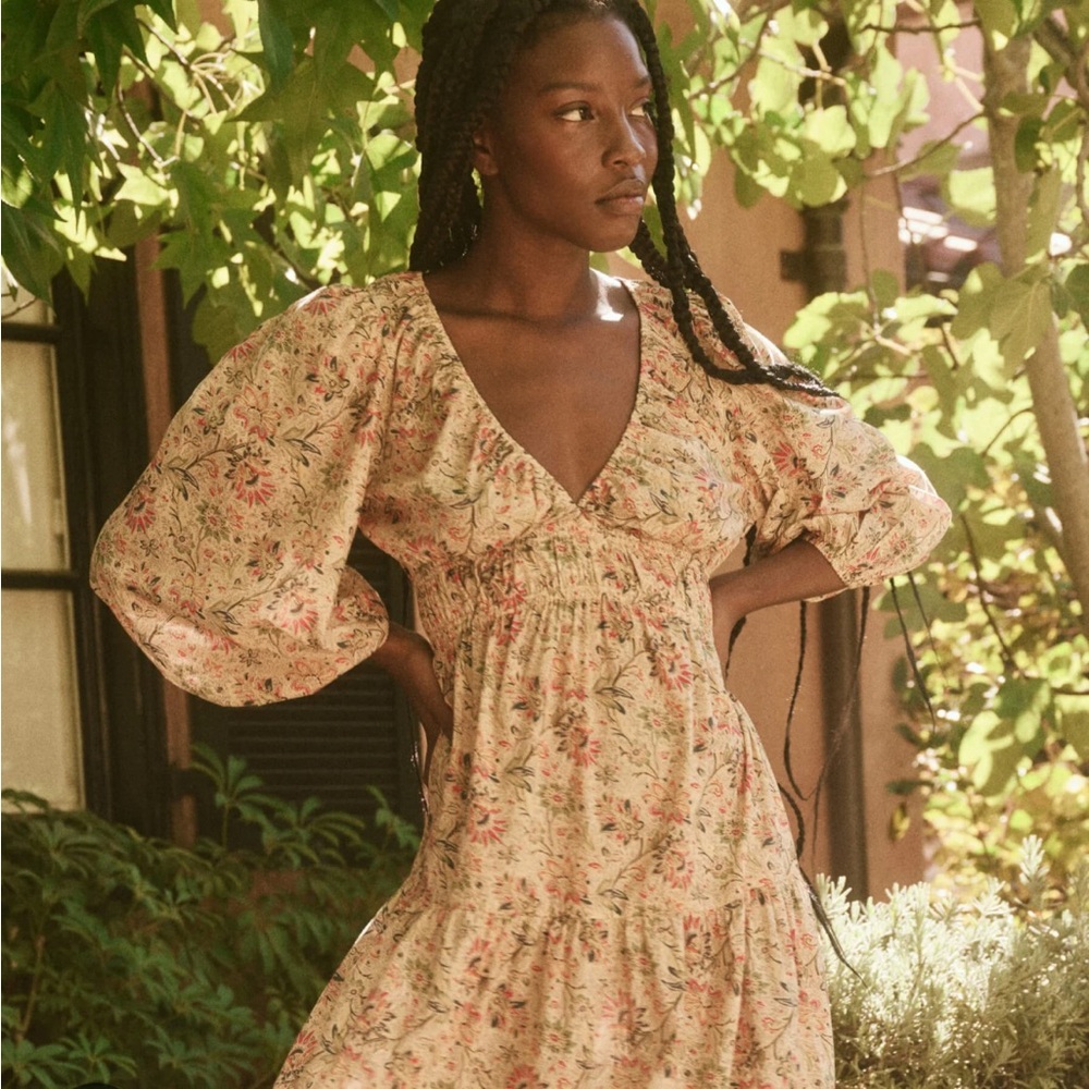 The great brook dress NWT